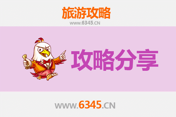 伊春美溪至湄洲岛旅游攻略：跟团还是自由行选择指南