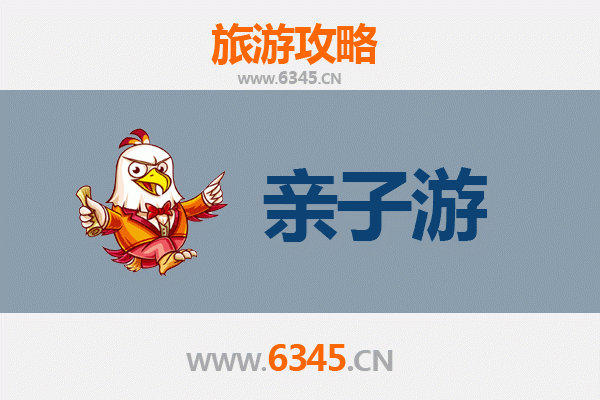 伊春美溪亲子游攻略：探秘小兴安岭的自然课堂与家庭乐趣
