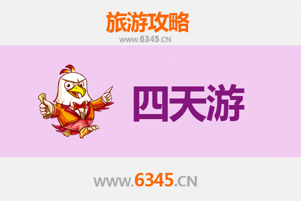 伊春美溪四天三夜深度游攻略：森林秘境与生态之旅