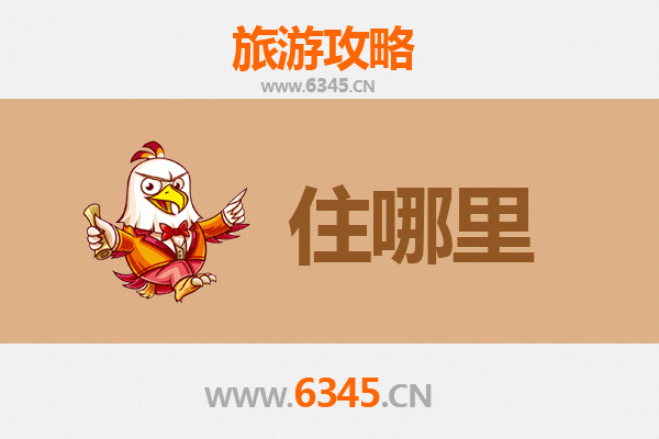 伊春美溪民宿全攻略：森林深处的隐逸之所