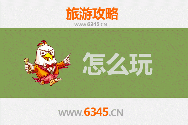 节假日伊春美溪旅游全攻略：森林康养与生态探险之旅